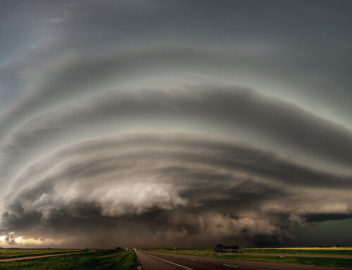 2024 Photographer of the Year: Selections